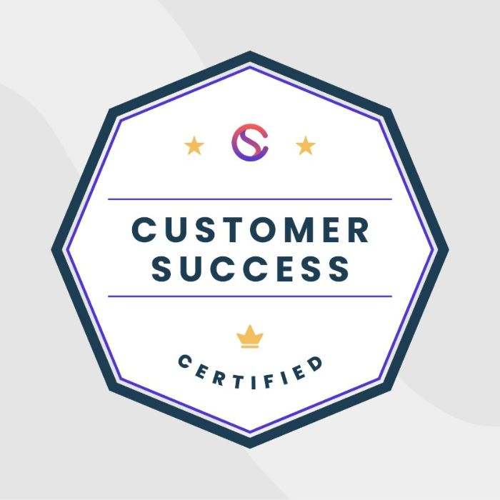 Customer Success